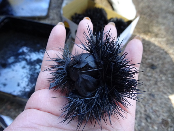 環境フォーラム