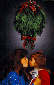 The Golden Bough: Mistletoe History and.