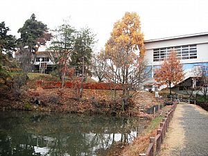 クリックすると新しいウィンドウで開きます