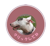 家を守る頼もしい番犬 僕のブルテリアコレクション その17 ピーチーはおふろが嫌いよ 家を守る頼もしい番犬 僕のブルテリアコレクション その17 ピーチーはおふろが嫌いよ