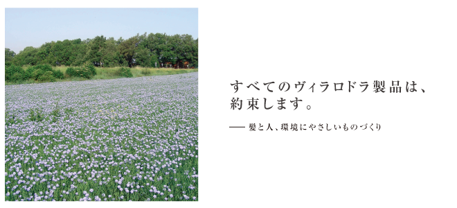 すべてのヴィラロドラ製品は、 約束します。