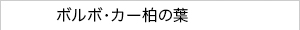 ボルボ・カー柏