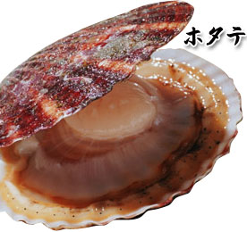 クリックすると新しいウィンドウで開きます