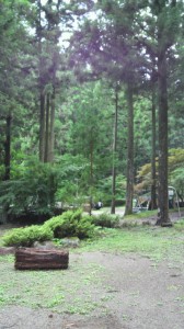 2012071415390000