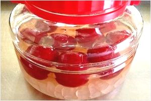 プラム酢の作り方やレシピ 人気の飲み方を紹介 キレイなカラダへ