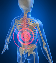 herunia-characteristic-img01-2