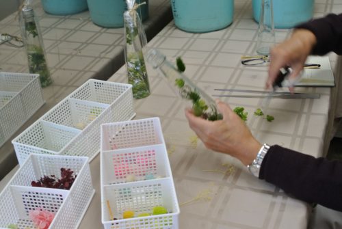 2017-11-02-13-57-15_r