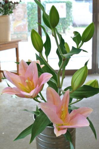 2017-11-07-15-58-51_r