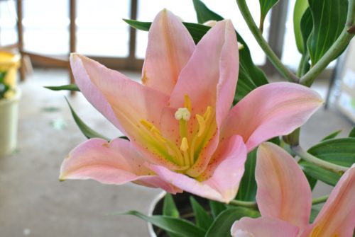 2017-11-07-15-59-02_r