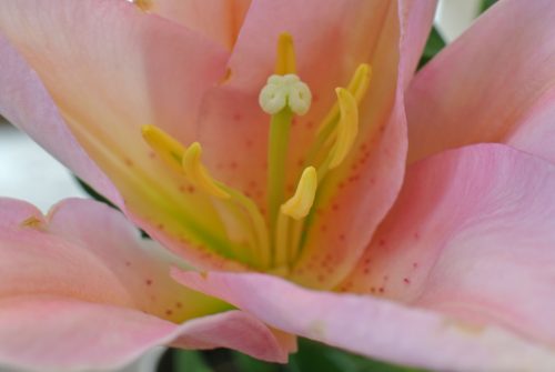 2017-11-07-15-59-22_r