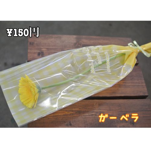 2019-02-03-22-26-51