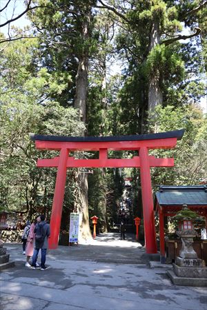 2019-04-09-11-04-28_r