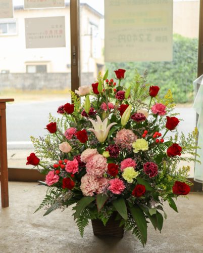 3737924593144335246_img_0980