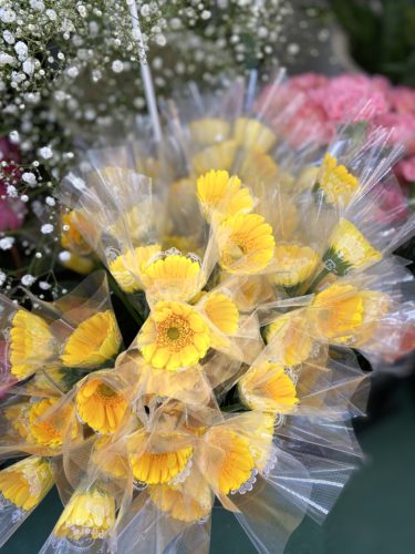 2019-11-09-14-18-04-1