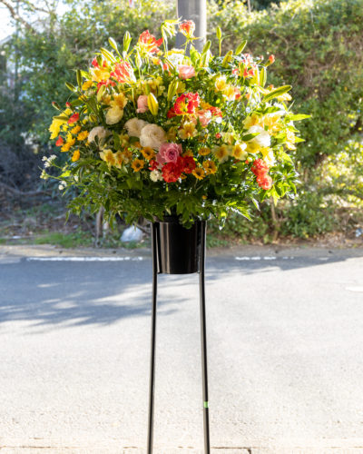 866401ea-3196-449d-968d-a8bf3f203399