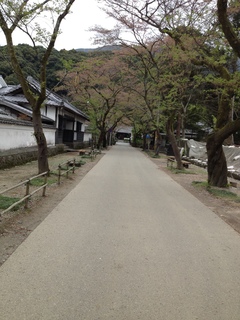 2015-04-07 17.07.50.jpg