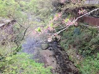 2015-04-07 17.17.39.jpg